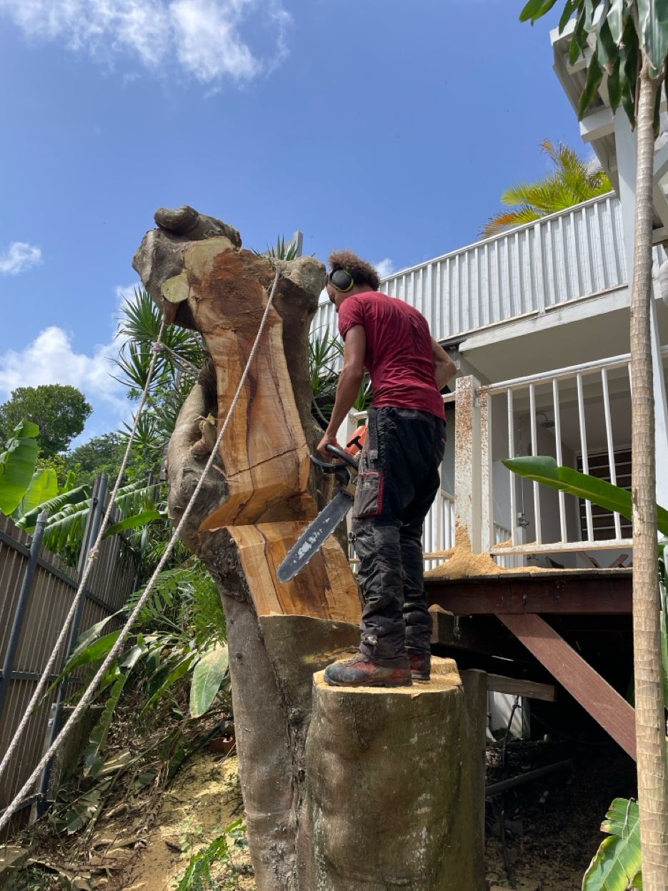 Démontage arbre